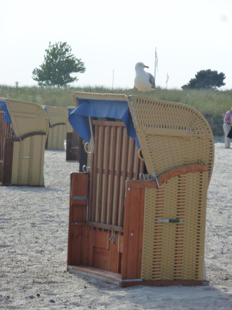 Traumhafter Ostsee-Ausblick, Fewo Direkt Am Strand Fehmarn Exteriör bild